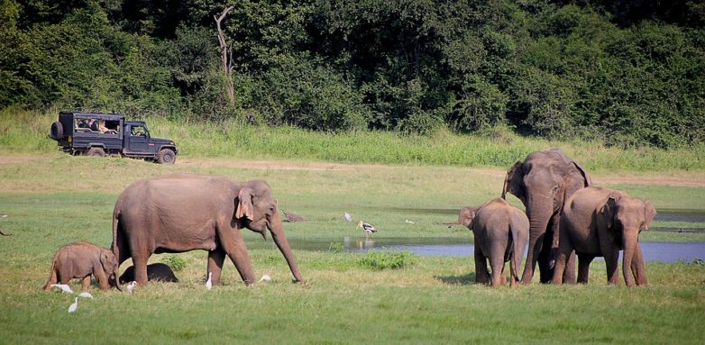 Hidden Places in Sri Lanka