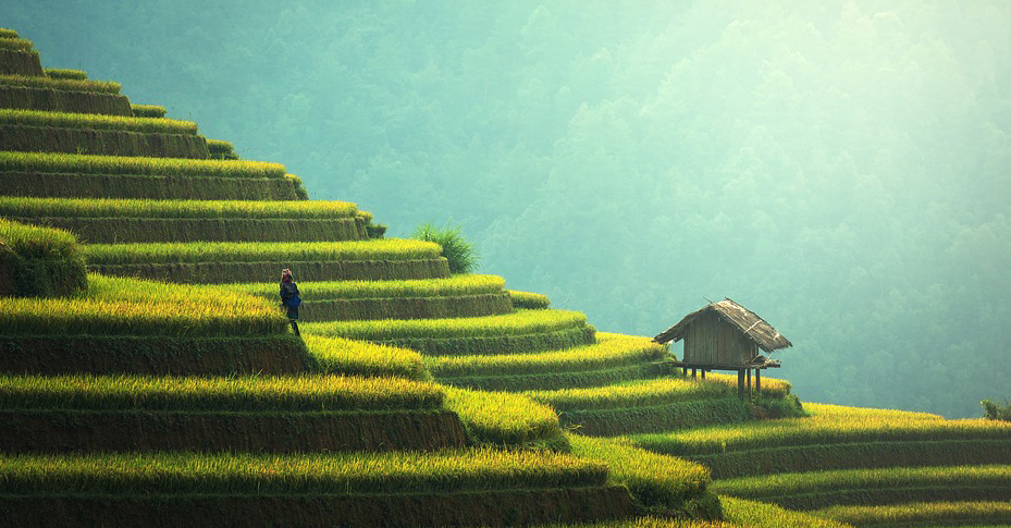 Cambodia