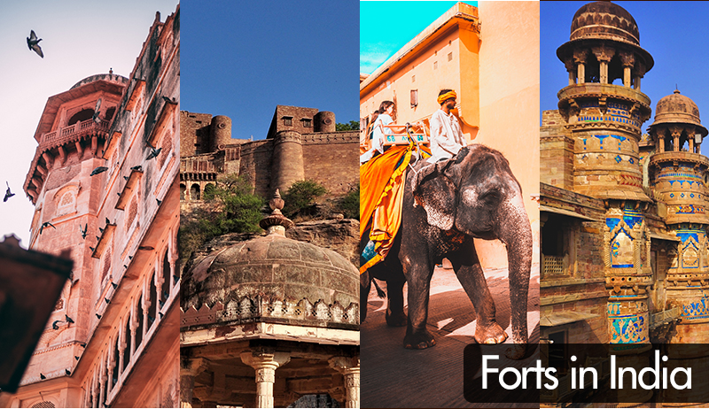 Top 10 Forts in India to Visit | Forts in India