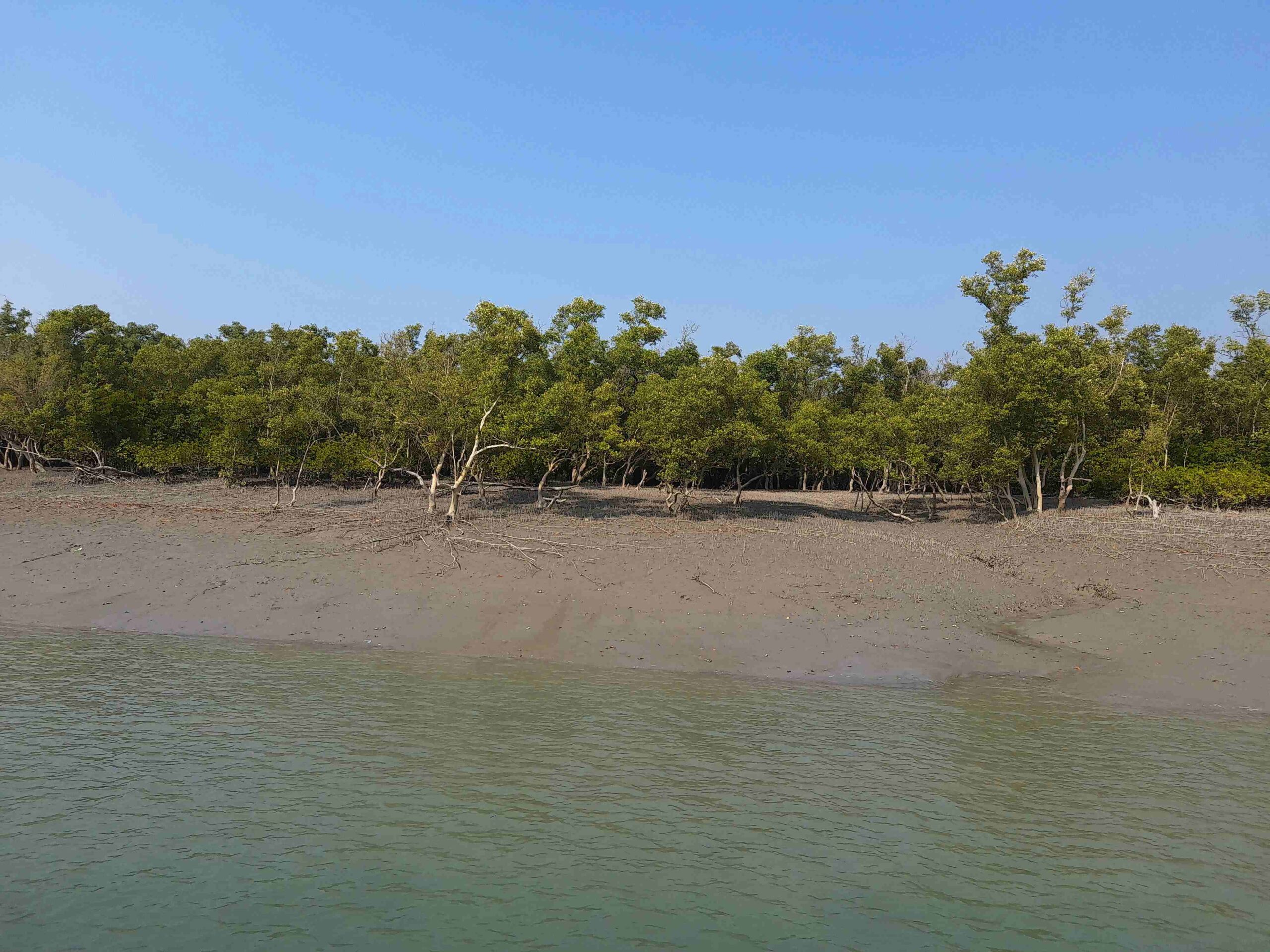 sundarban tours
