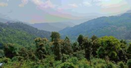 wayanad tourist places